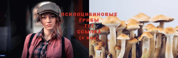СК Володарск